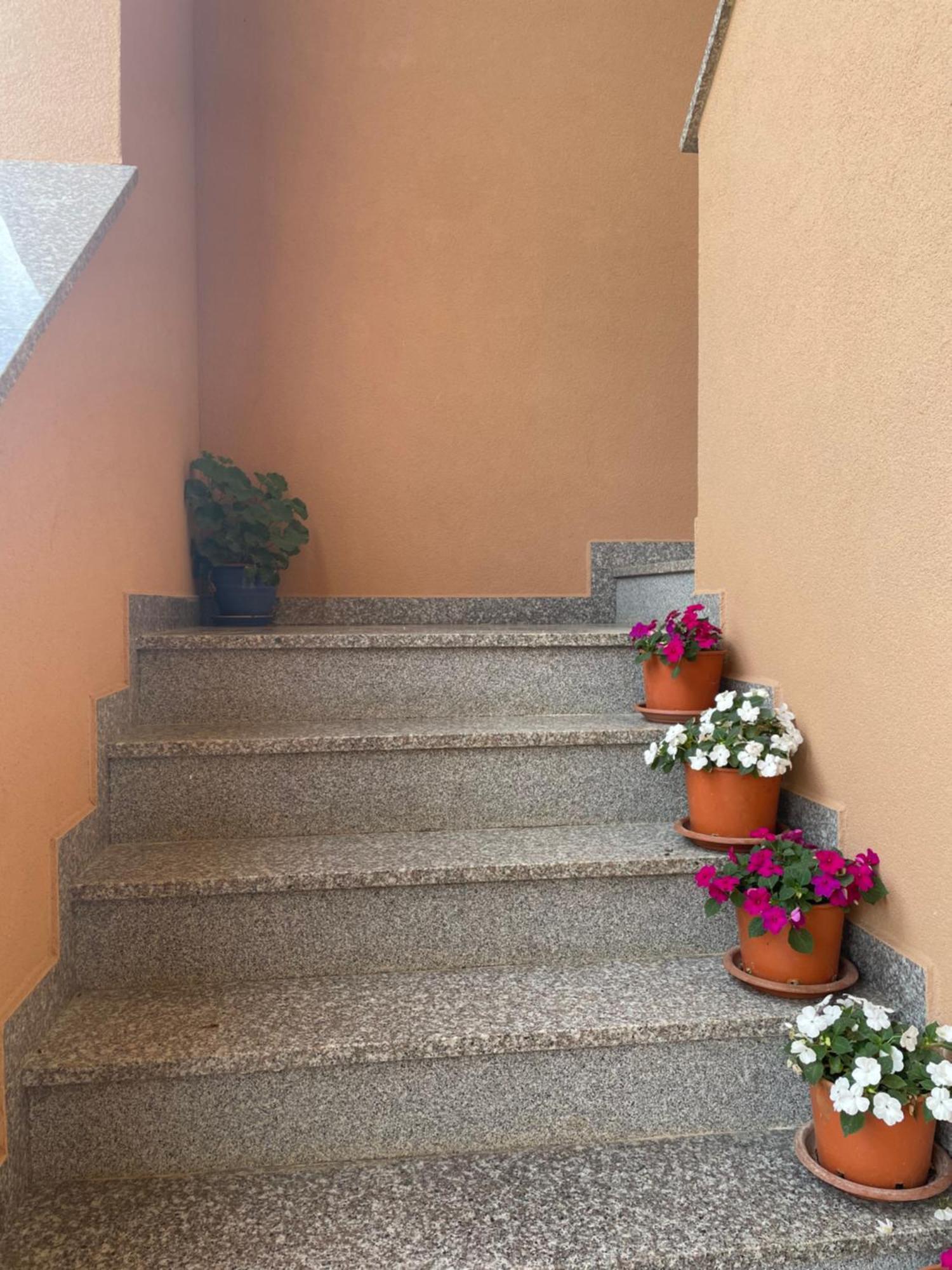 Apartments Dora Poreč Eksteriør billede